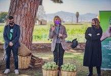 Sant Boi y El Prat se unen para promover la alcachofa del Baix Llobregat