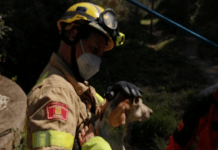 Rescatan a 3 perros del fondo de un pozo en Sant Boi