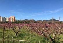 Se prorroga el confinamiento comarcal y sanidad propone prohibir fumar en las terrazas