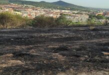 Pequeño incendio en el parque de la Muntanyeta de Sant Boi