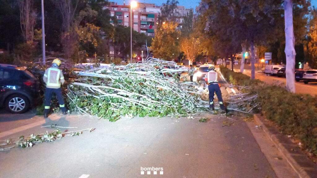 Bomberos trabajando para retirar el árbol caído en Sant Boi - Bombers de la Generalitat